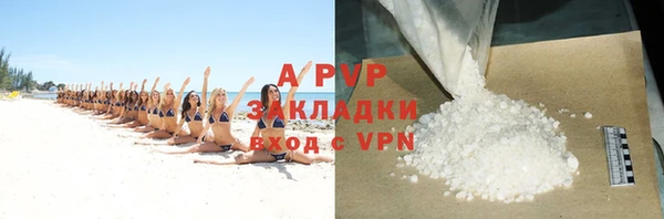 ГАЛЛЮЦИНОГЕННЫЕ ГРИБЫ Каменка