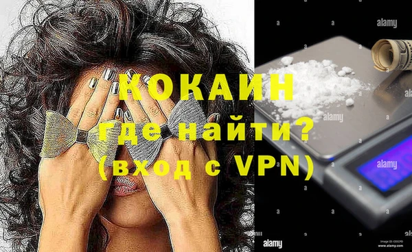 ГАЛЛЮЦИНОГЕННЫЕ ГРИБЫ Каменка