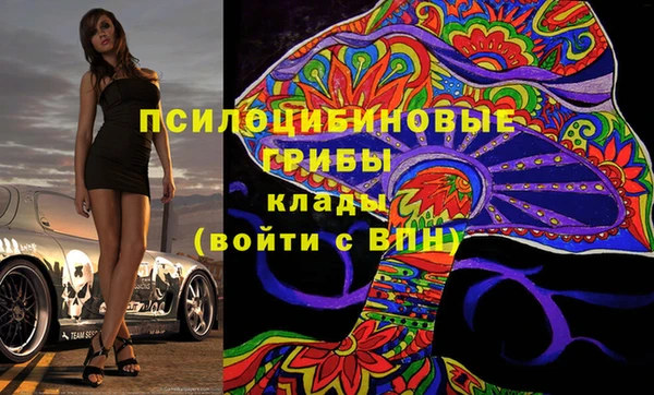 ГАЛЛЮЦИНОГЕННЫЕ ГРИБЫ Каменка