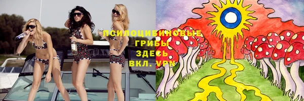 ГАЛЛЮЦИНОГЕННЫЕ ГРИБЫ Каменка