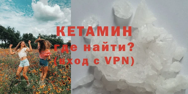 ГАЛЛЮЦИНОГЕННЫЕ ГРИБЫ Каменка
