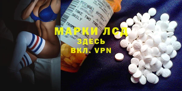 mdpv Каменногорск
