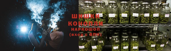 ГАЛЛЮЦИНОГЕННЫЕ ГРИБЫ Каменка