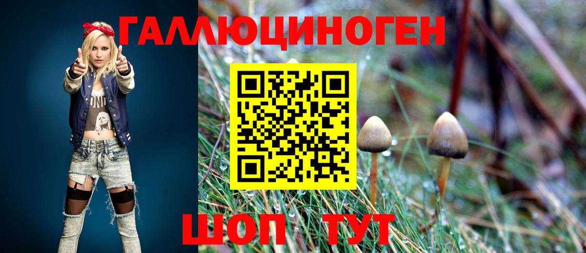 Галлюциногенные грибы мухоморы  Вход с VPN  Рубцовск 