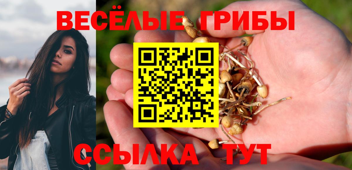 Псилоцибиновые грибы MAGIC MUSHROOMS  Галлюциногенные грибы ЛСД  Рубцовск 